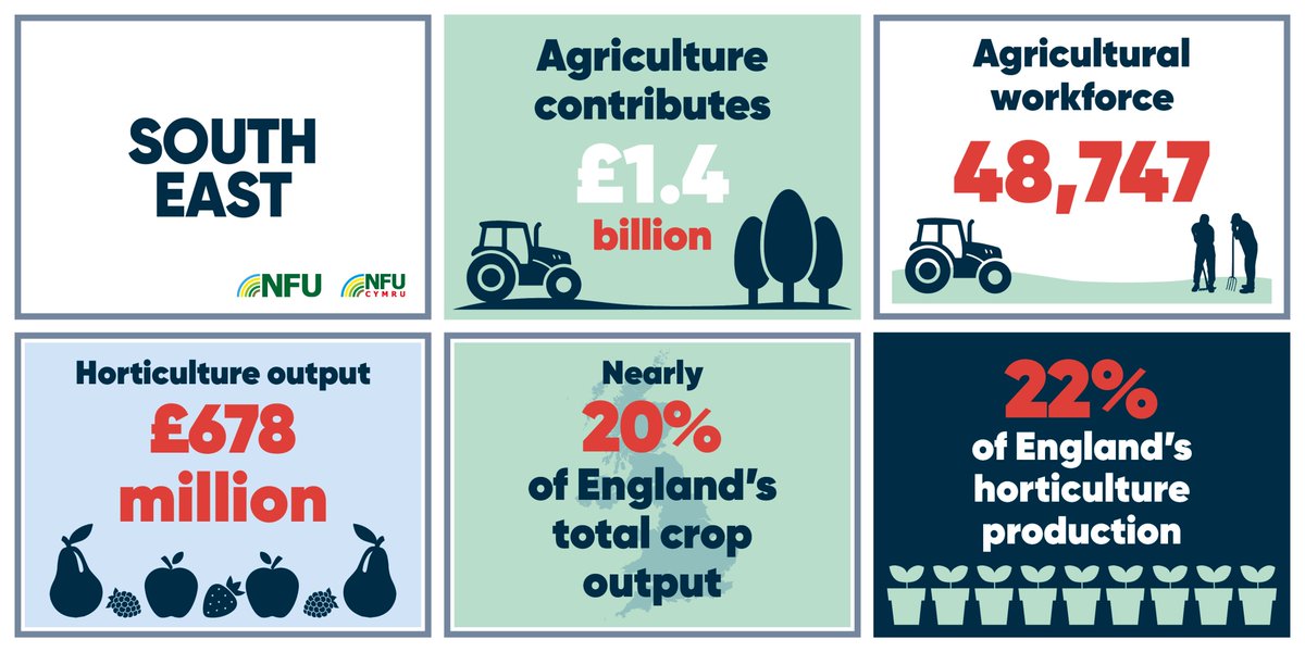 On #BackBritishFarming day we're highlighting how farmers produce your daily bread, showcasing the economic contribution of our industry here in the South East. #BackBritishFarming
