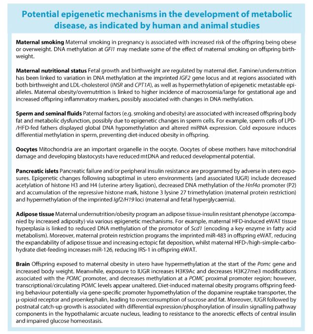 DiabetologiaJnl's tweet image. New review outlines cumulative and up-to-date human and animal evidence base for the ‘Intrauterine programming of obesity and type 2 diabetes’ @dftwinn @nvk_brs @linehjort @ozannelab. #T2D #Obesity #DevelopmentalProgramming 🔓 bit.ly/2k7a7XQ