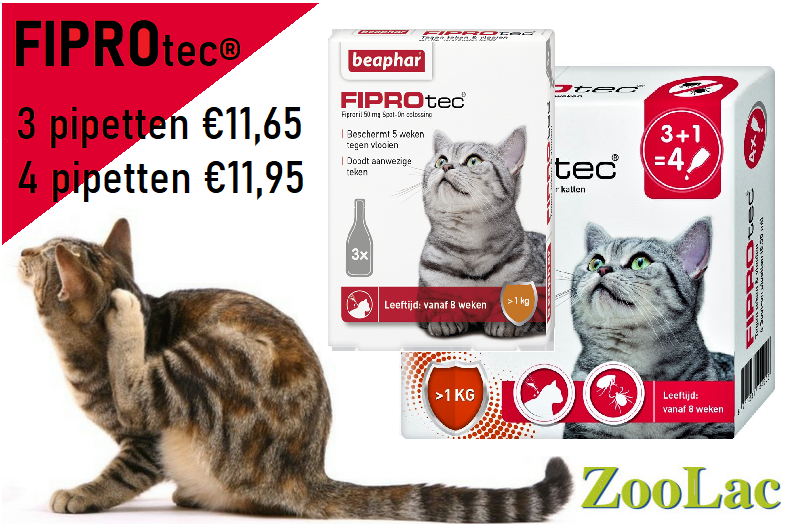 ZoolacPropaste's tweet photo. Extra voordelig: Beaphar FIPROtec® anti-vlooienmiddel. Ter bestrijding van en bescherming tegen vlooien, teken en luizen bij katten. Profiteer nu van de voordeelverpakking 3+1 en krijg 93% korting op de 4e pipet! 

Bestel nu op: https://t.co/sfiGdn3ExX https://t.co/uG18SxIPF2