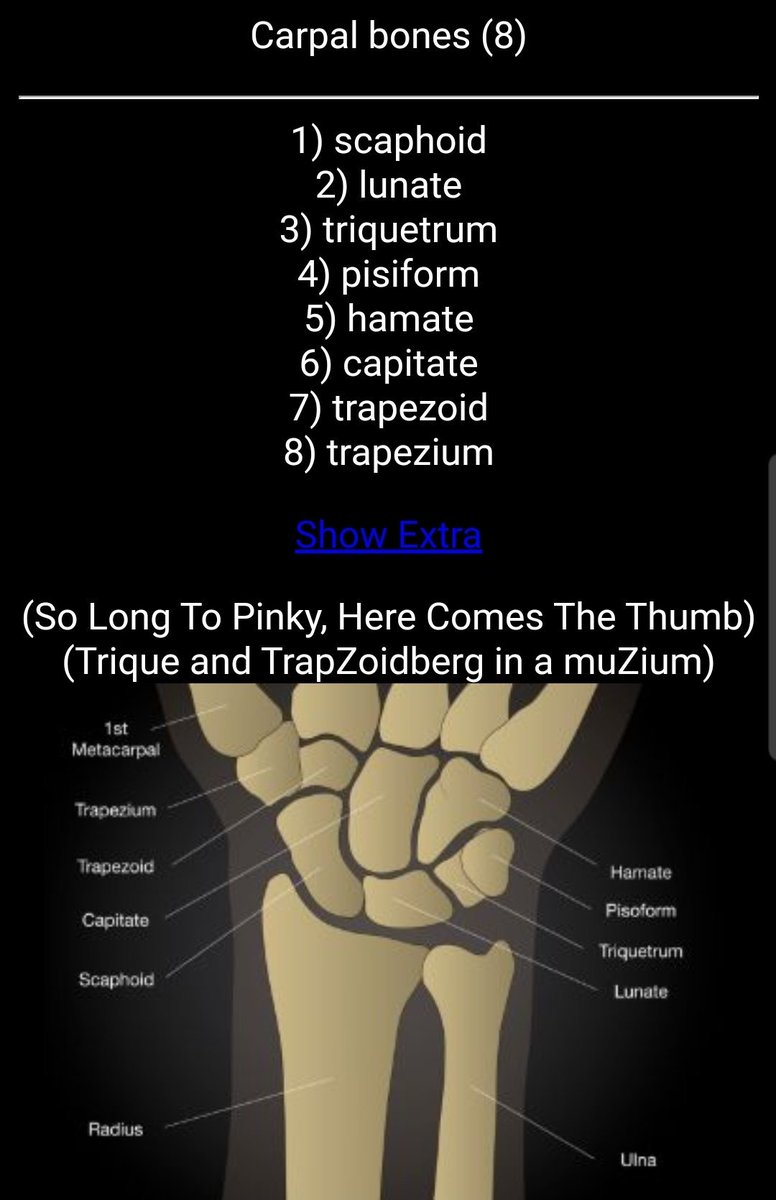 Carpal Bone Mnemonic