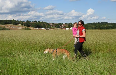 Wealden District Council On Twitter Wealden S New Open Access