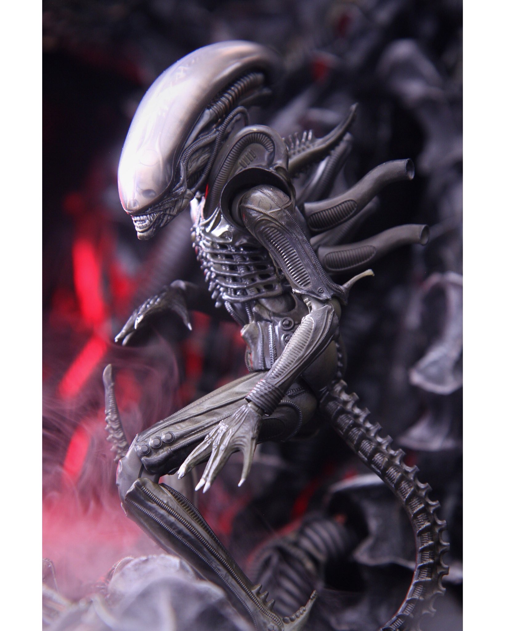Tentacles on X: