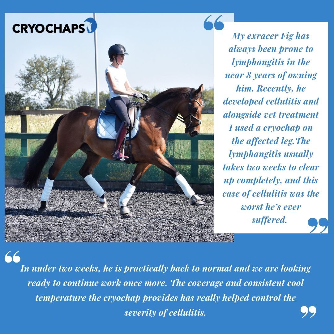 CRYOCHAPS tweet media