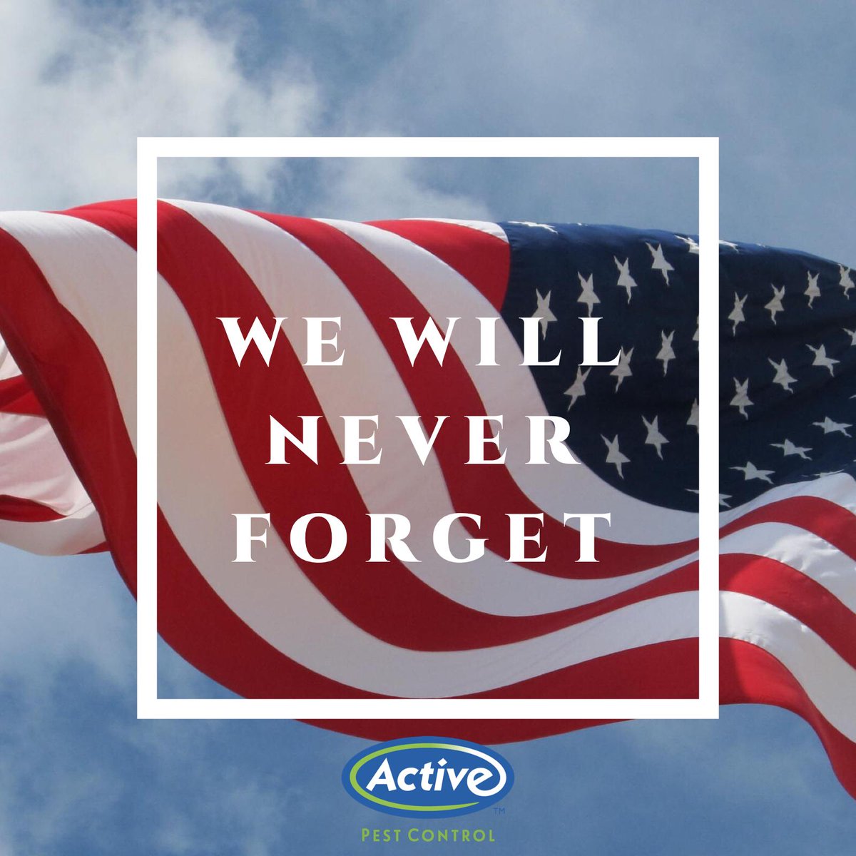 ActivePests's tweet photo. Today, and every day, we remember and honor those who lost their lives on September 11, 2001. #PatriotDay #nineeleven https://t.co/CvNHyFH2o7