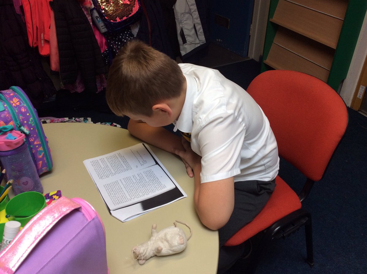 St Mary's RC Primary tweet media