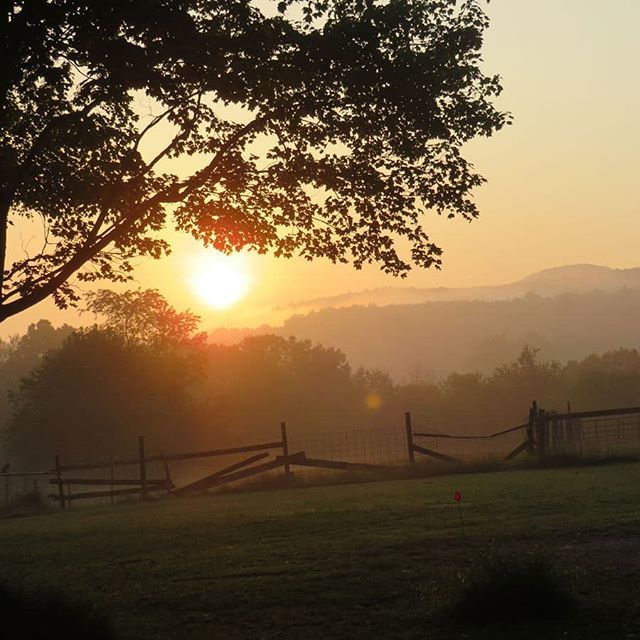 #roasterycam 9/11/19

#community

#authentic #smallbatch #coffee #fresh #roasted #indarkhollow  #buylocal #eatlocal #ilovecoffee  #iloveva #and #sugargrove #swva  #locallyroasted ift.tt/2LrFLKy