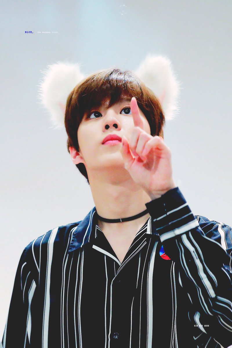 blue1027_'s tweet photo. 190908 고앵이는 호기심이 많은 동물이랍니다🐱💖
 #김우석 #우석 #KIMWOOSEOK #엑스원 #X1 https://t.co/9qUFA71yog