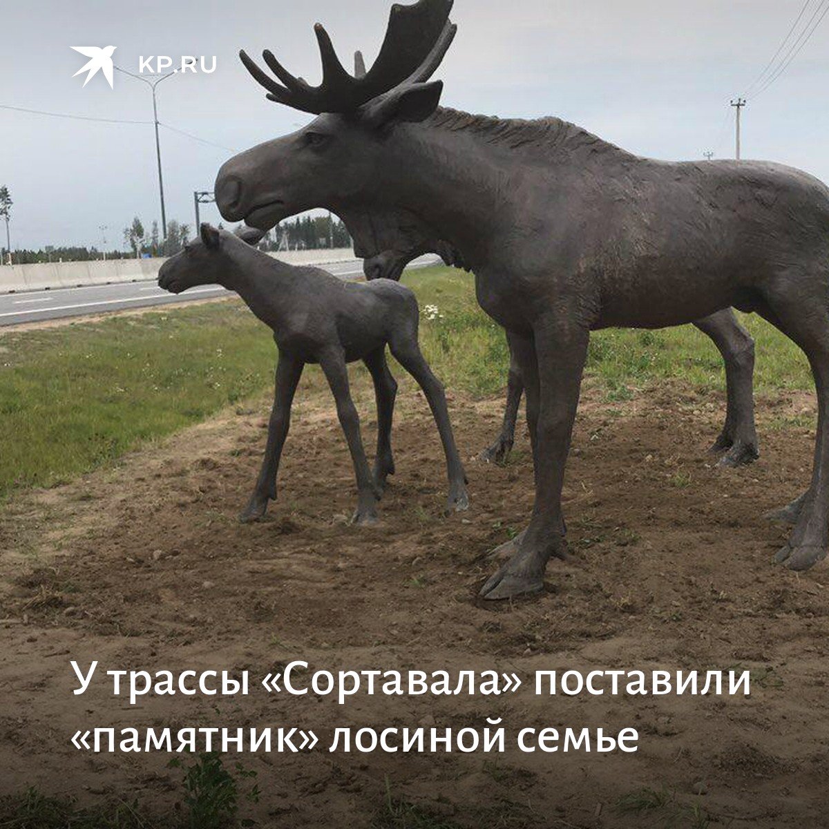 Лось петербург. Памятник лосям на Приозерском шоссе. Скульптура лосей на Новоприозерском шоссе. Лоси памятник на дороге Сортавала. Лоси на Новоприозерском шоссе.