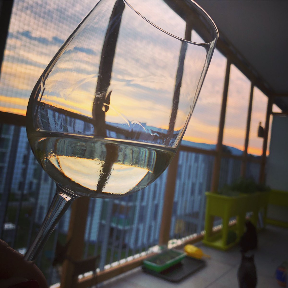 googlehupferl's tweet photo. Wohl einer der letzten Abende am Balkon...
#GoodbySummer #HelloAutumn https://t.co/KWfEPwh5z7