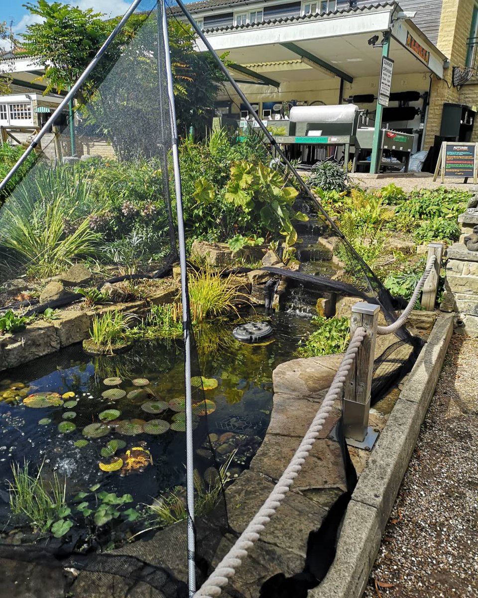 Pond Xpert pyramid frames are back in stock! They make a great prevention method against falling autumn leaves and aid in stopping predators such as herons take away your prized fish.