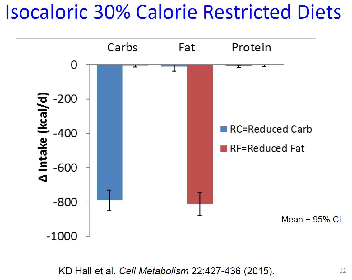 fat burn ncbi