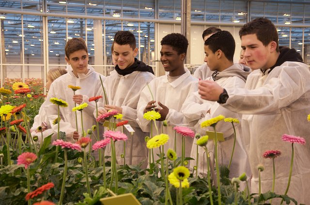 Inschrijving Impactprijs Groen Onderwijs 2019 = open! Voor projecten van studenten/leerlingen die impact hebben op #voedsel #klimaat #leefbaarheid. Meedoen? Check: bit.ly/2lIIfdh @GroenPact <a href="/NLTopsectoren/">Topsectoren NL</a> #tuinbouw #groenonderwijs
