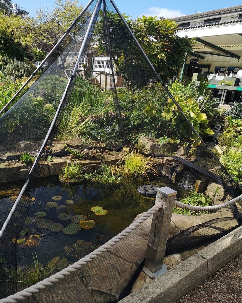 Wayside (@wayside_uk) on Twitter photo 