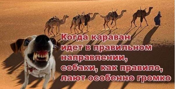 Нардеп Беленюк виграв чемпіонат світу з греко-римської боротьби - Цензор.НЕТ 4539