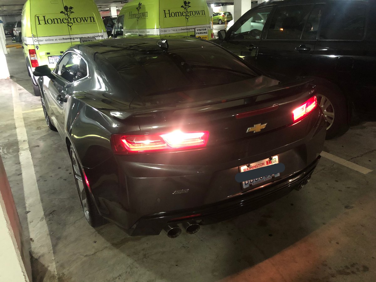 Halcylon's tweet photo. There's a sight, make no mistake... #mybabyisback https://t.co/O0AwLvjR7N