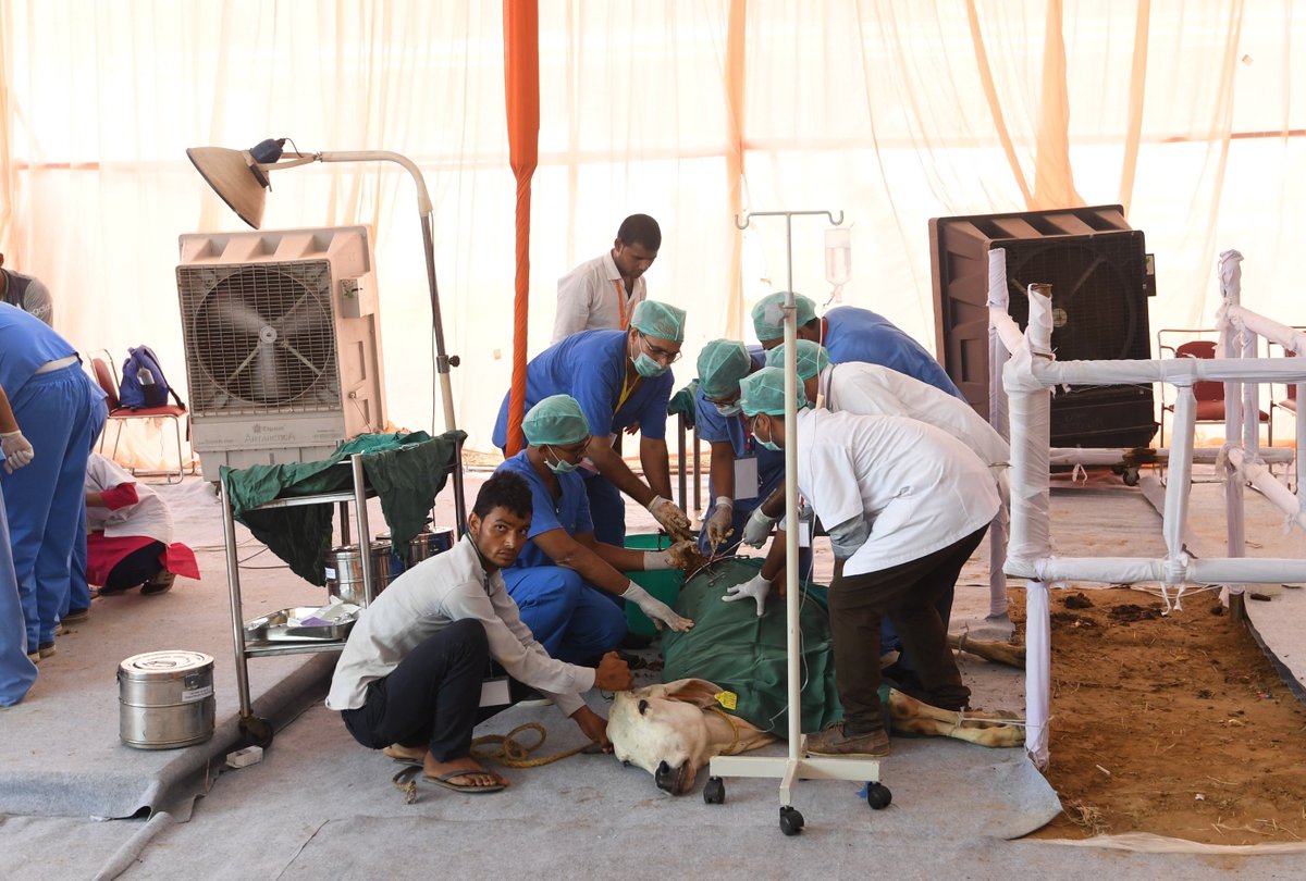 narendramodi's tweet image. Sights that made me very sad.

At the Pashu Arogya Mela in Mathura, saw cows being operated and heaps of plastic being removed from their bodies.

This is deplorable and should inspire us to work towards reduced and careful plastic usage.