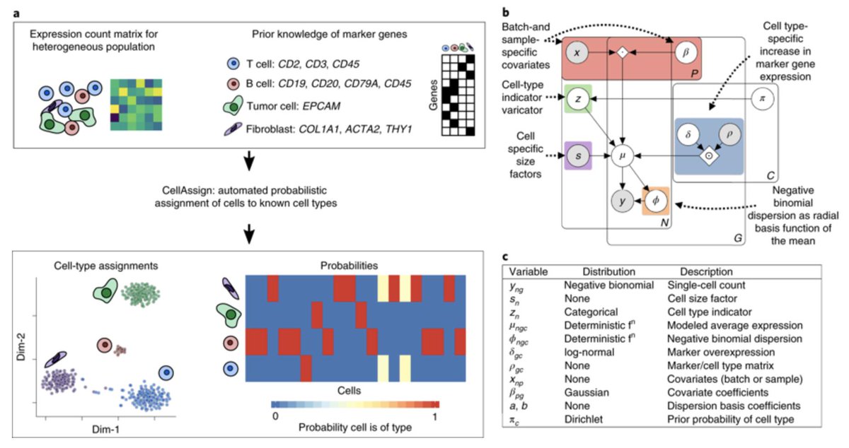 pcandersson's tweet image. Are you doing single-cell RNA-seq? Then check out this paper in @naturemethods describing #CellAssign, which "automates the process of assigning cells in a highly scalable manner across large datasets". go.nature.com/2mb8UQ3
____
#scRNAseq #AcademicTwitter #bioinformatics