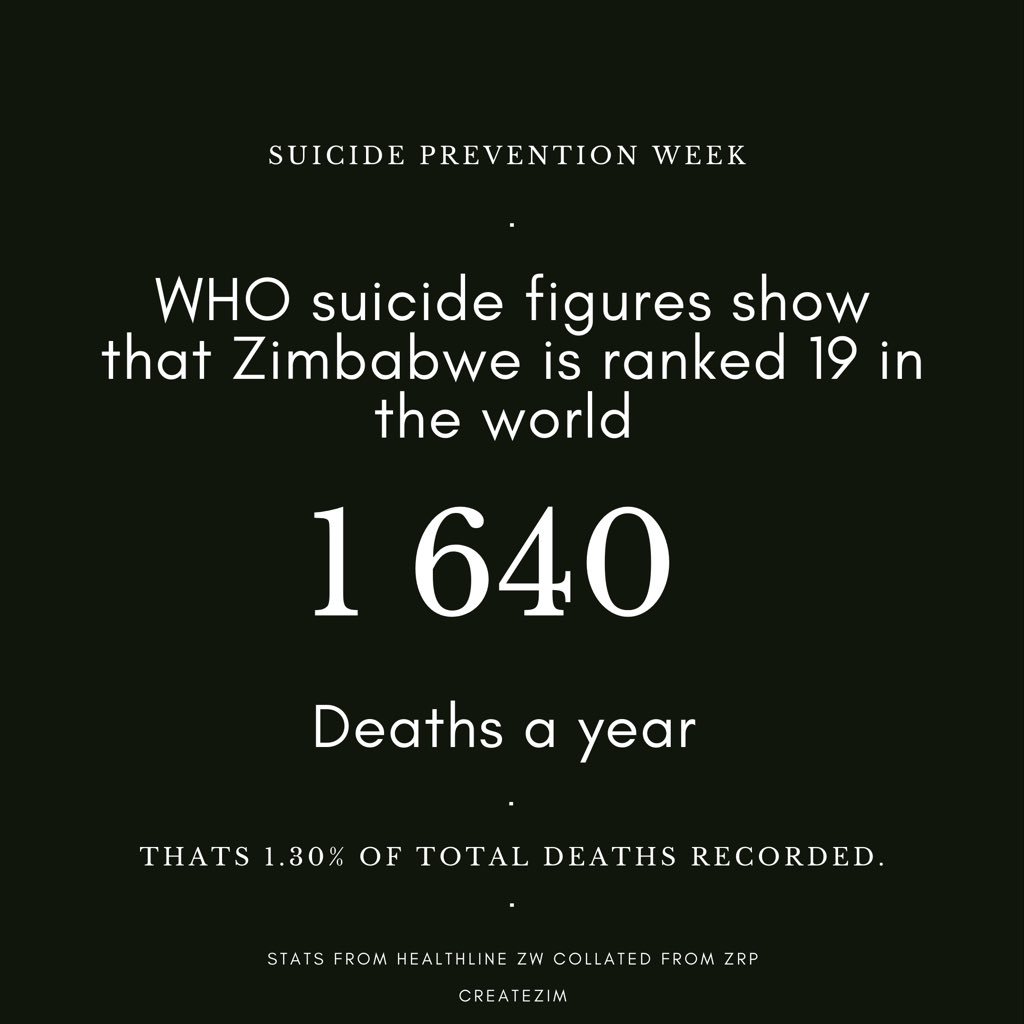 Create Zim tweet media