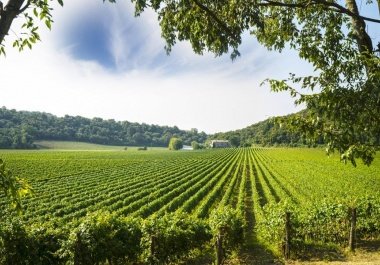 Franciacorta: performance, fiscalità e strategie di una "wine experience" con bollicine di eccellenza. Il 19 settembre ne parleremo nell'Az. Agricola Ricci Curbastro. 
#wine #franciacorta #excellence
#bollicine #vino #tax #strategies
adacta.it/it/news-events…