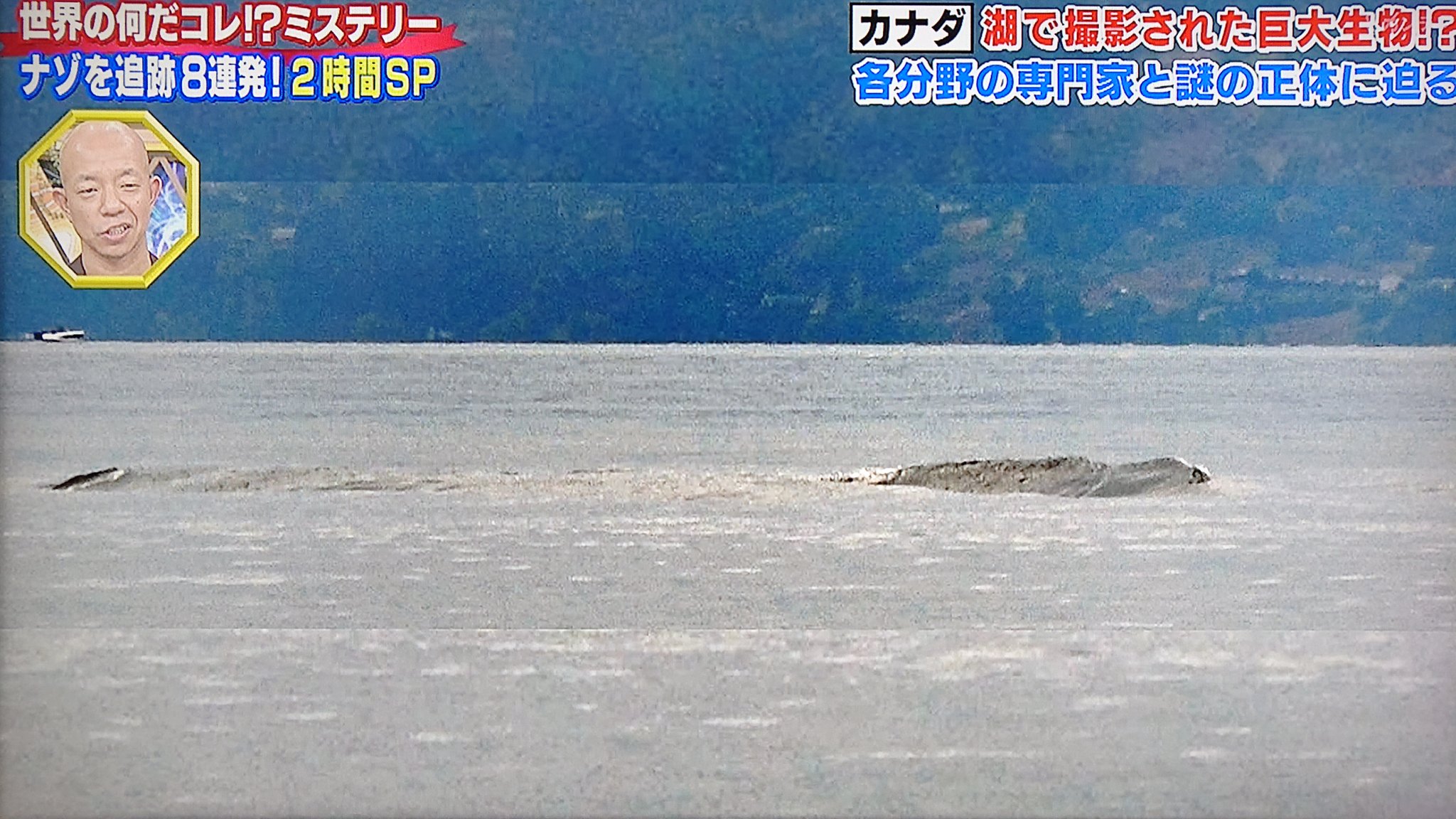 巨大 生物 湖 カナダ