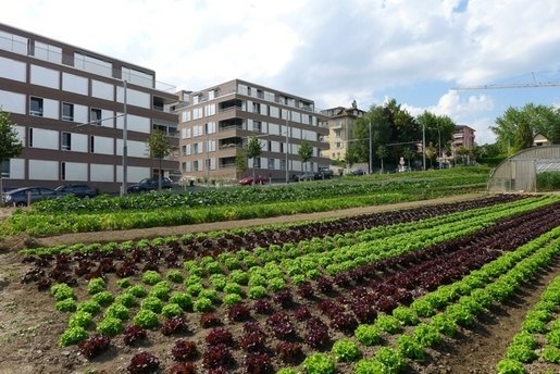 MacLesggy tweet media