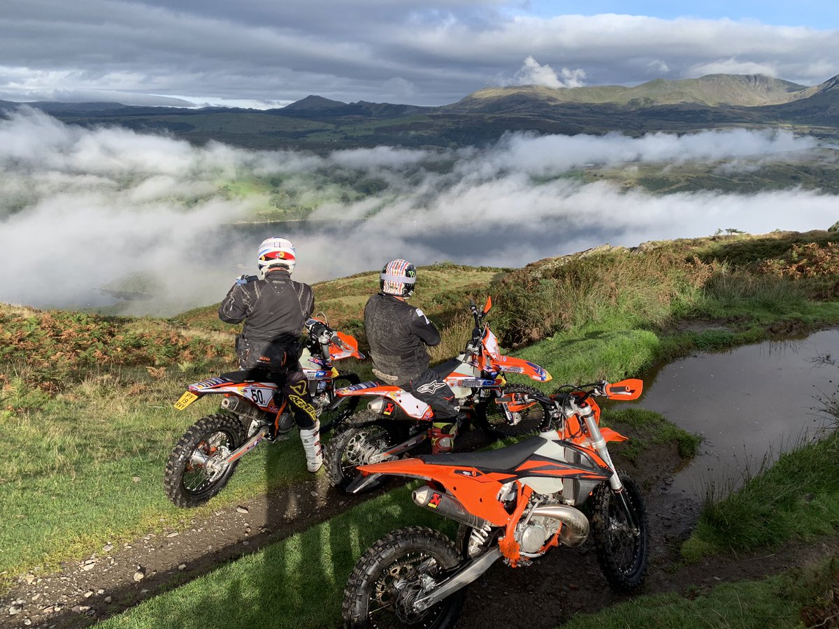 Michael Guy tweet media