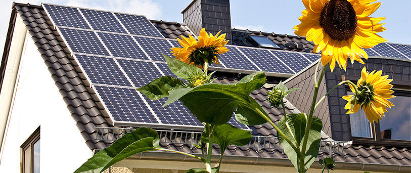 Solar Guide tweet media