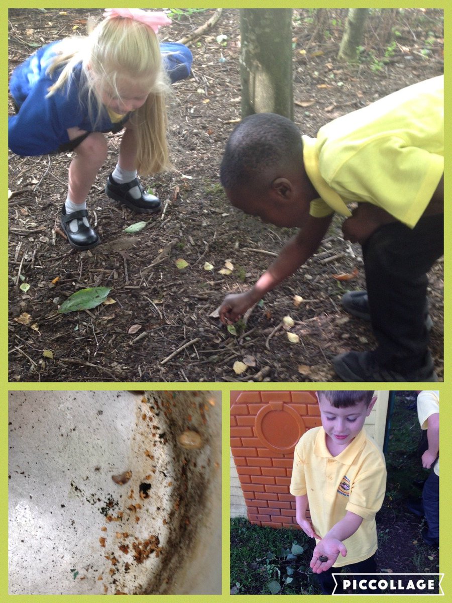 Year4CT's tweet photo. We went into the woods to find things that are alive! #science #Y2C https://t.co/o3r1DtbIUS