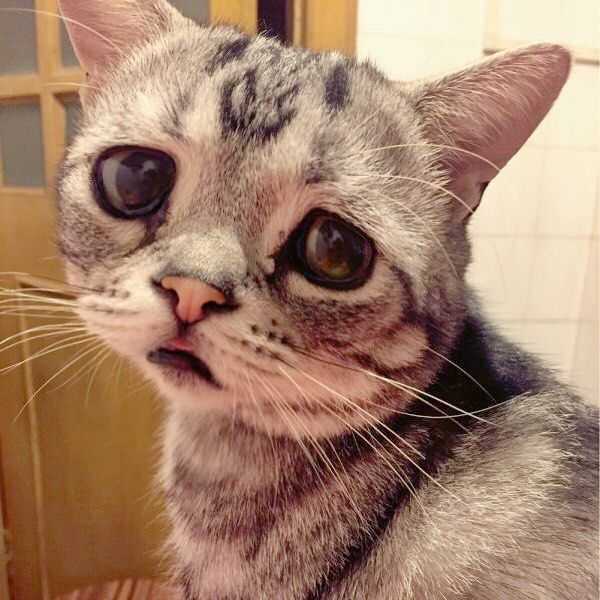 🇨🇵 Rémy 41-69 🏳️‍🌈🌈🇺🇦 tweet media