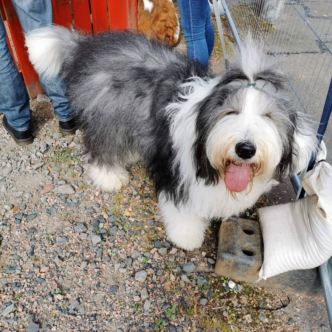 theyardperth's tweet photo. Thank you to everyone who came down to visit us on Sunday. Traders, visitors, families, dancers, musicians and dogs 🐕❤️ #Perthshire #PerthUK https://t.co/3eamh4NkUs