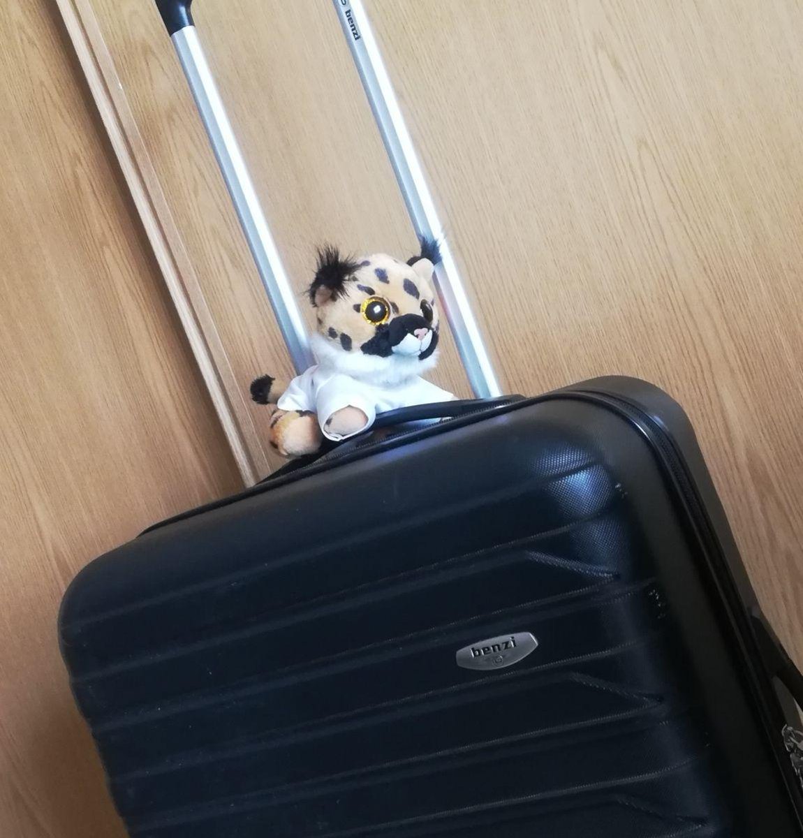 esiuclm's tweet photo. 🗓️¡Lynx 🐱ya está preparando la vuelta a las clases!
Os recordamos que mañana a las 9:30 tenemos la acogida para los #EstudiantesESI👩🎓 de 2º y posterior y a las 11:30 para los de primer año.
¡Recordad que hay un #Regalo 🎁 sorpresa para los asistentes!
#ComputerLynx https://t.co/F3uUNeWENh