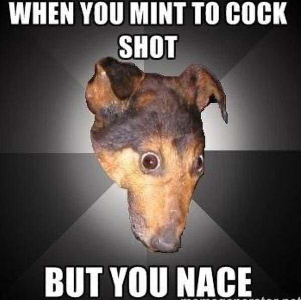 glixity @Anaheim tweet media