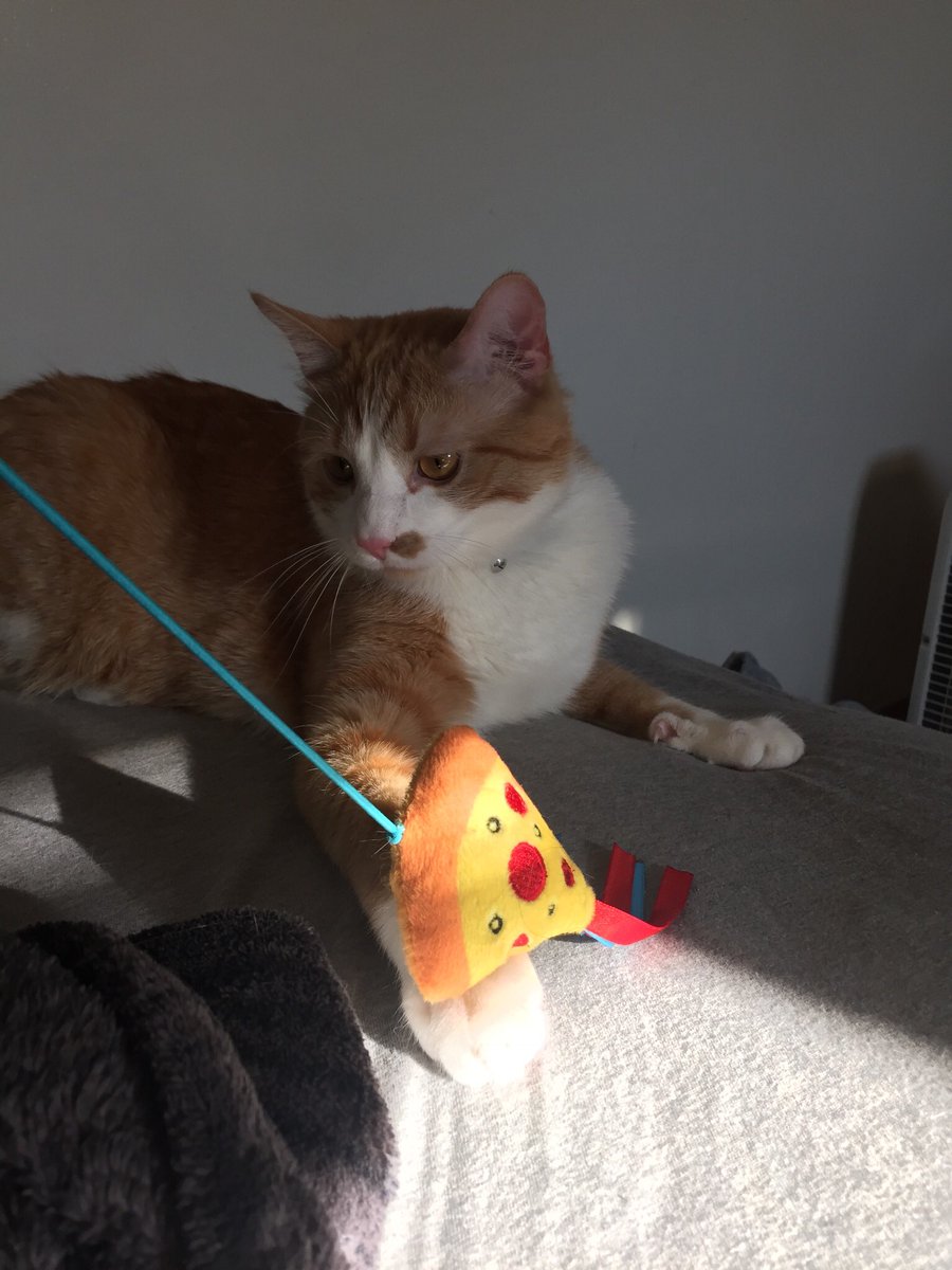 yellowman320's tweet photo. Happy second birthday to my favorite not so little guy anymore https://t.co/56RZkJvxzr