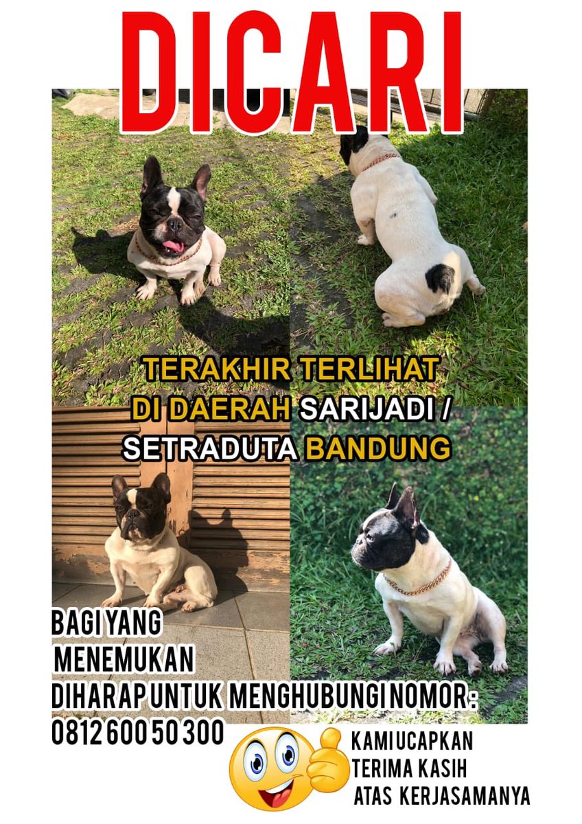 twitter please do your magic