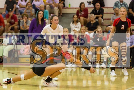 TriCitiesSports.com / Steve Wilmoth tweet media