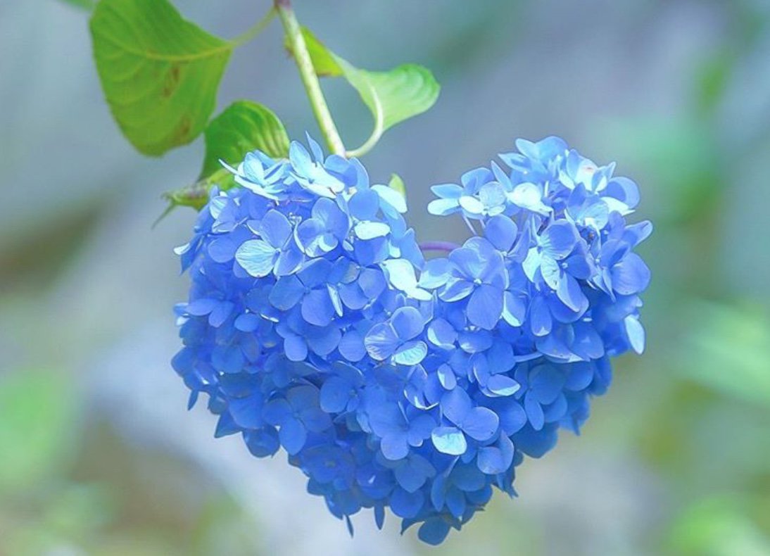 ramblingsloa's tweet photo. Your task is not to seek love
But merely to seek and find
All the barriers within yourself
That you have built against it.

Rumi https://t.co/r2FyDs989i