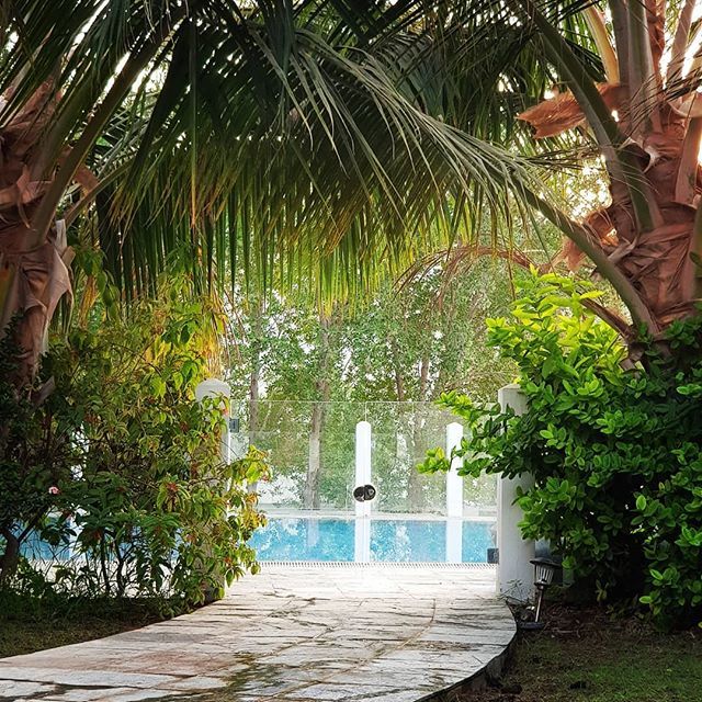 diracommunity's tweet photo. Casa Dira, grateful 🙏
#dirainternational #casadira #dirakidsinternational #wellness #meditation #channeling #community #love #goodvibes #spirituality #muscat #oman #mindfulness #peace #selflove #healing #inspiration #innerstrength #mind #body #soul #health #wellnessretreat… https://t.co/5ctOco70zv