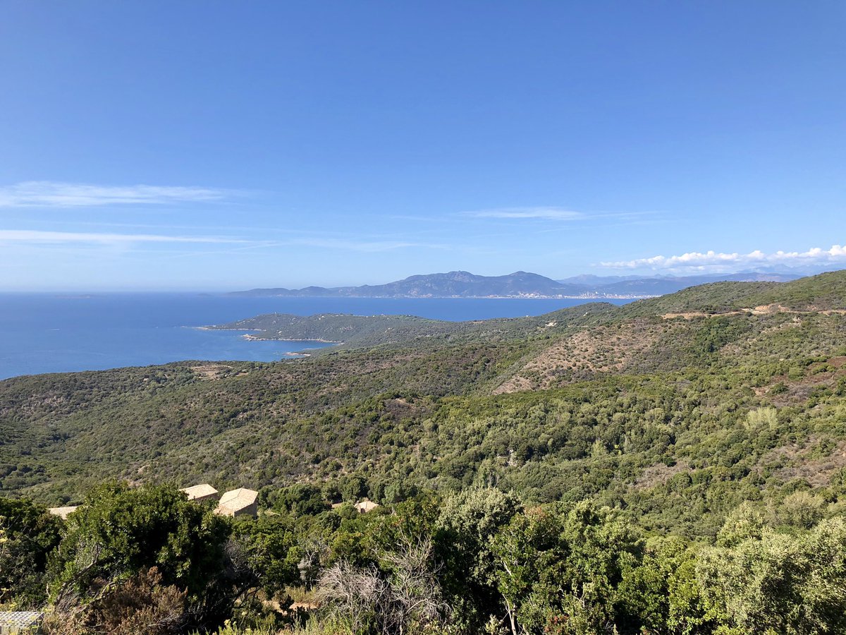 CorsicaBenji2a's tweet photo. Coti-Chiavari cet après-midi 😌 #MagnifiqueFrance #Corse #CotiChiavari https://t.co/CGZecFI1xQ