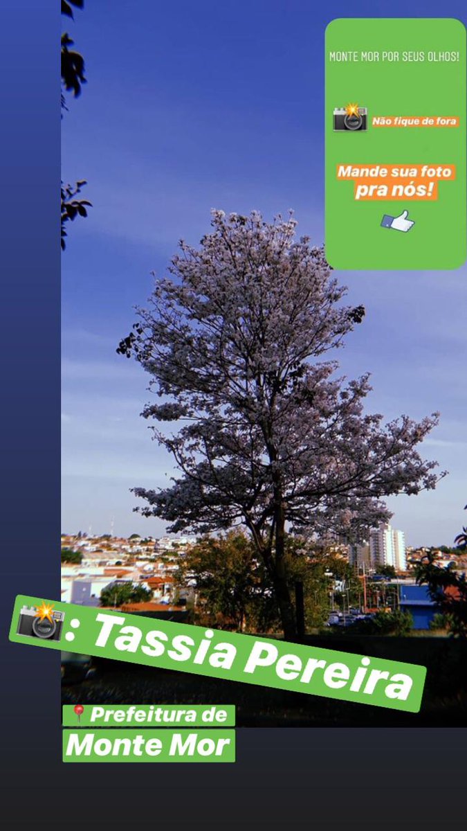 Prefeitura Monte Mor tweet media