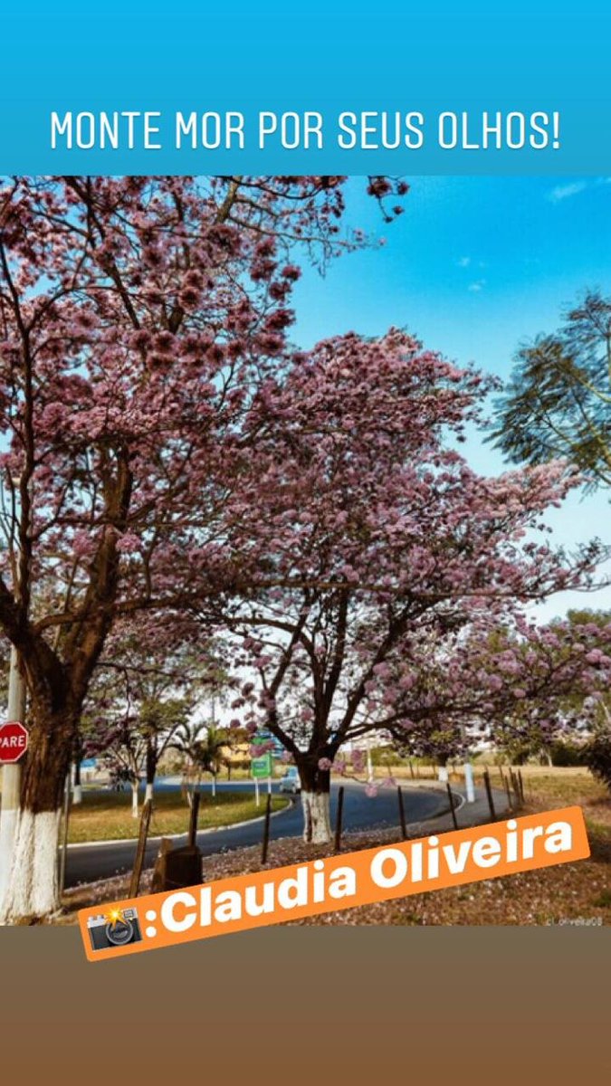 Prefeitura Monte Mor tweet media