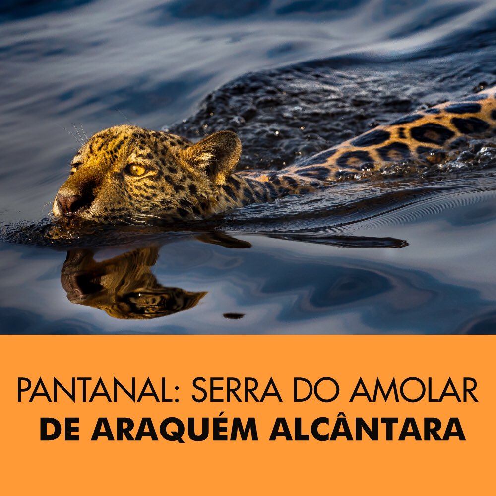 Orgulho de estar fazendo um livro que mostra as belezas do Pantanal da Serra do Amolar. O projeto está em fase final! Compre nesta pré-venda e receba autografado. 

serradoamolar.com.br