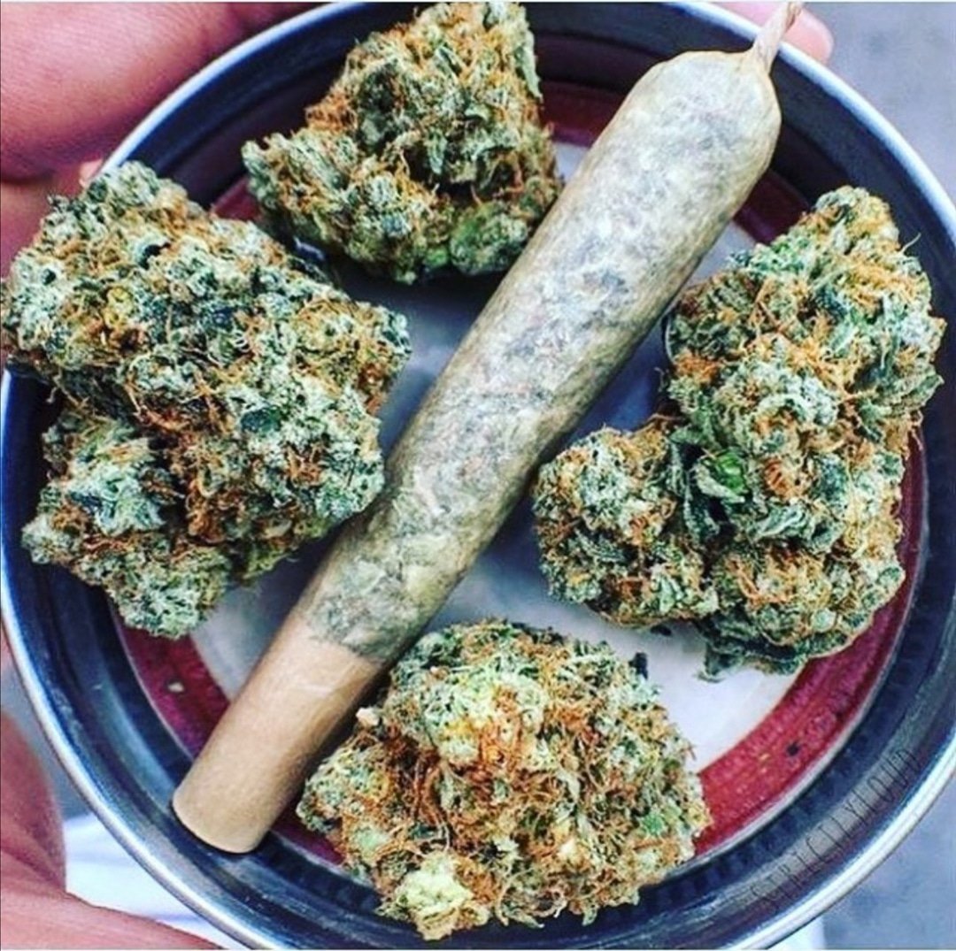 MJBlogCanada's tweet image. Wake n Bake 😝

#stonerfam #MJBlog #puffpuffpass #highlife #wakenbake #highsociety #weedart #IamCannabis #WednesdayVibes #cannabis #cannabiscommunity #weed #marijuana #weedsociety #cannabisculture #smokeweedeveryday #cannabiscanada #smoke #bitcoin #NeverForget #WednesdayThoughts