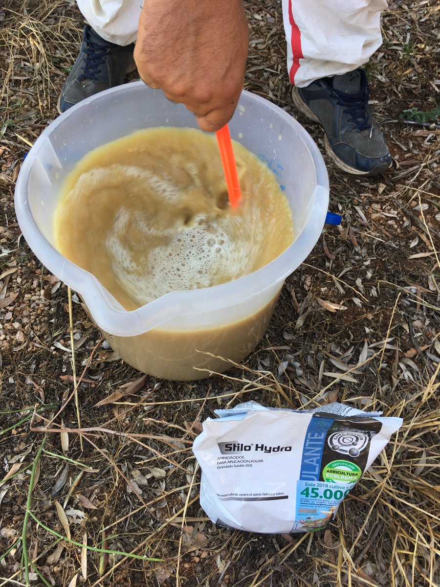 sipcam_iberia's tweet photo. 🌿¡Fantásticos resultados del #StiloHydro en olivar!🌿 
Tras realizar 3 tesis, el primer pase (10 de julio) tiene un aumento de peso del 15% y el segundo pase (10 y 31 de julio), del 25% respecto al testigo💪.
🔎 Más info sobre nuestro #bioestimulante: https://t.co/OcZ91qvdW1 https://t.co/QgMJRgUsbT