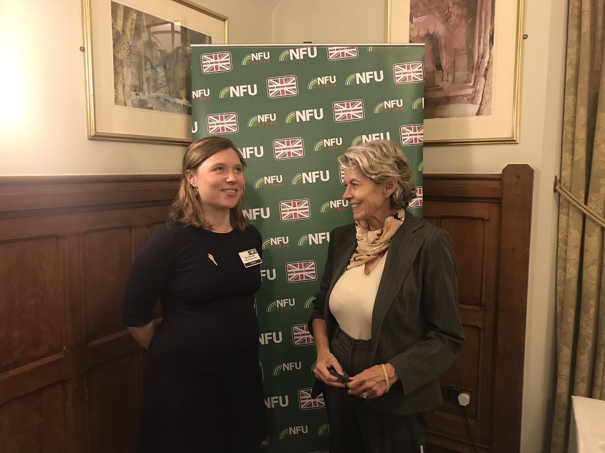 Anne McIntosh (@AnneCMcIntosh) | Twitter