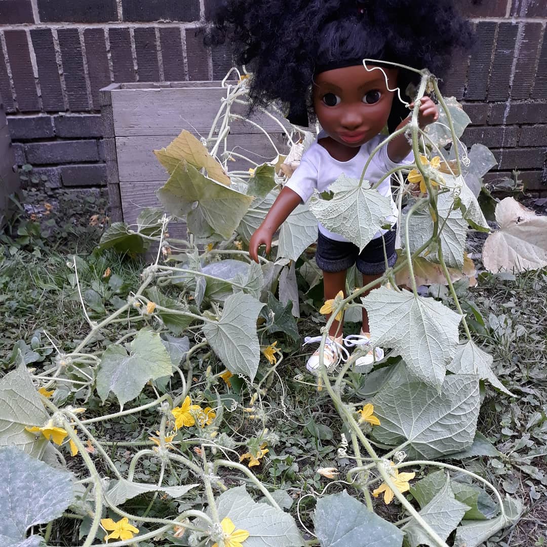 shimirawms's tweet image. Zoey: "Whats for lunch?"
Me: Let's check the garden.
Now we're all tangled in the cucumber plant. ---
I love when child care facilities have an onsite garden. So many learning opportunities, especially for building science and math vocabulary.
#earlySTEM
