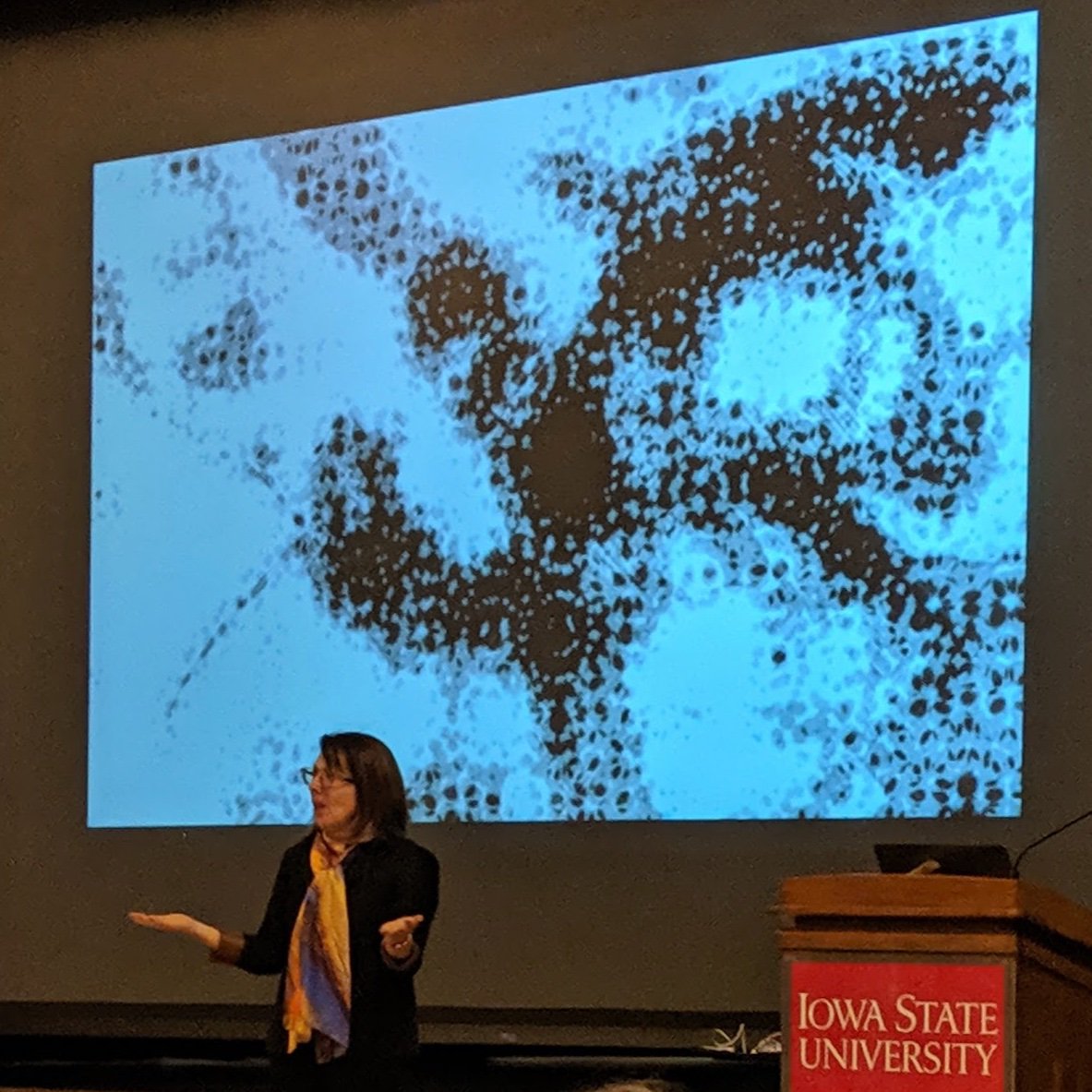 iastatelectures's tweet photo. *GIVEAWAY* 

What do you see when you look at this image from 
@LFeldmanBarrett Neuroscience Research Day Keynote talk?

Follow us, comment, and RT your guess by Friday, Sep. 13 by noon for a chance to win 2 tickets to see Cirque Mei at @StephensAud #ISULectures https://t.co/TBkHPqeuq5