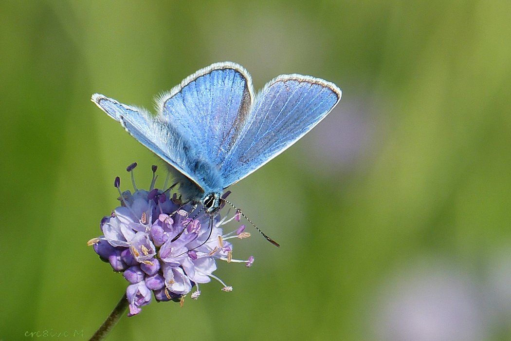 wat een naar weer vandaag! gelukkig hebben we de foto's nog van gister in de <a href="/UUBotu/">Botanische Tuinen UU</a>