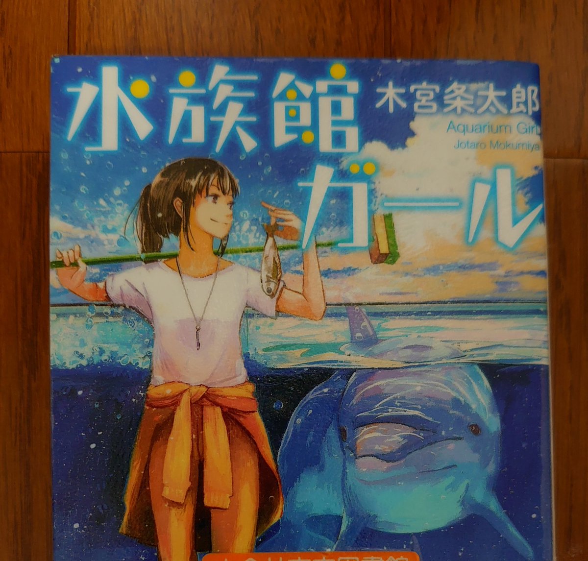 木宮条太郎 木宮条太郎