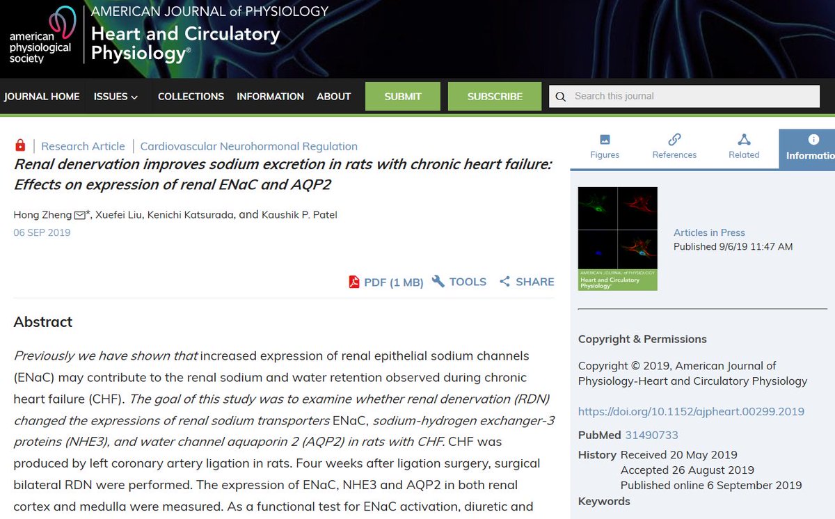 ajpheartcirc's tweet photo. #ArticlesInPress Renal denervation improves sodium excretion in rats with chronic heart failure: Effects on expression of renal #ENaC and #AQP2 
https://t.co/ODqVBBiw5X
@usd 

#RenalNerve #HeartFailure #sympatheticnerveactivity #RenalFunction https://t.co/JGpGIw5qv0