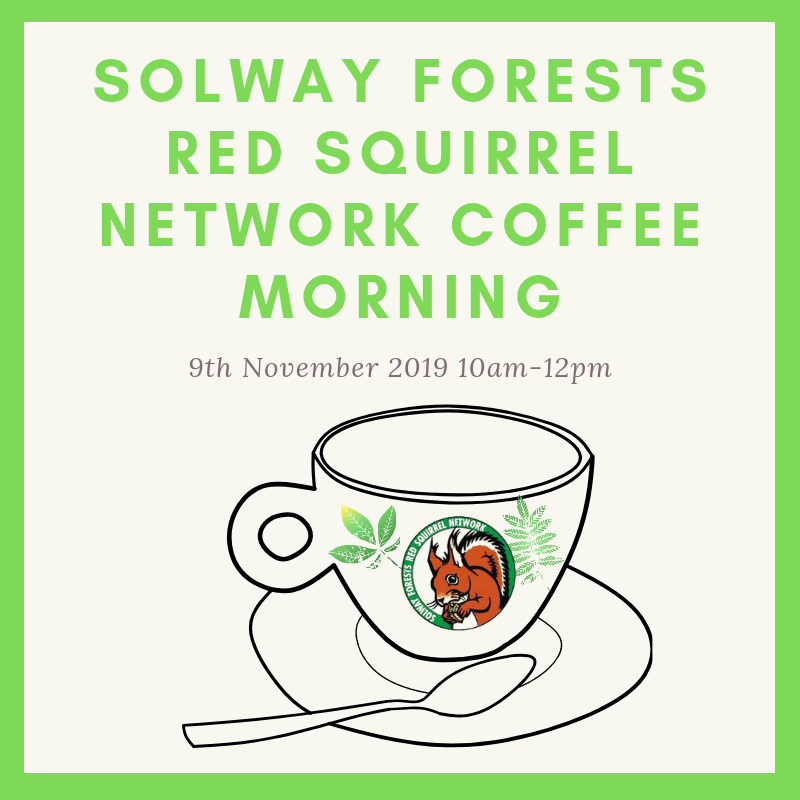 sfredsquirrel's tweet photo. #coffeemorning #saveourredsquirrels https://t.co/6wQ2lEEnXT